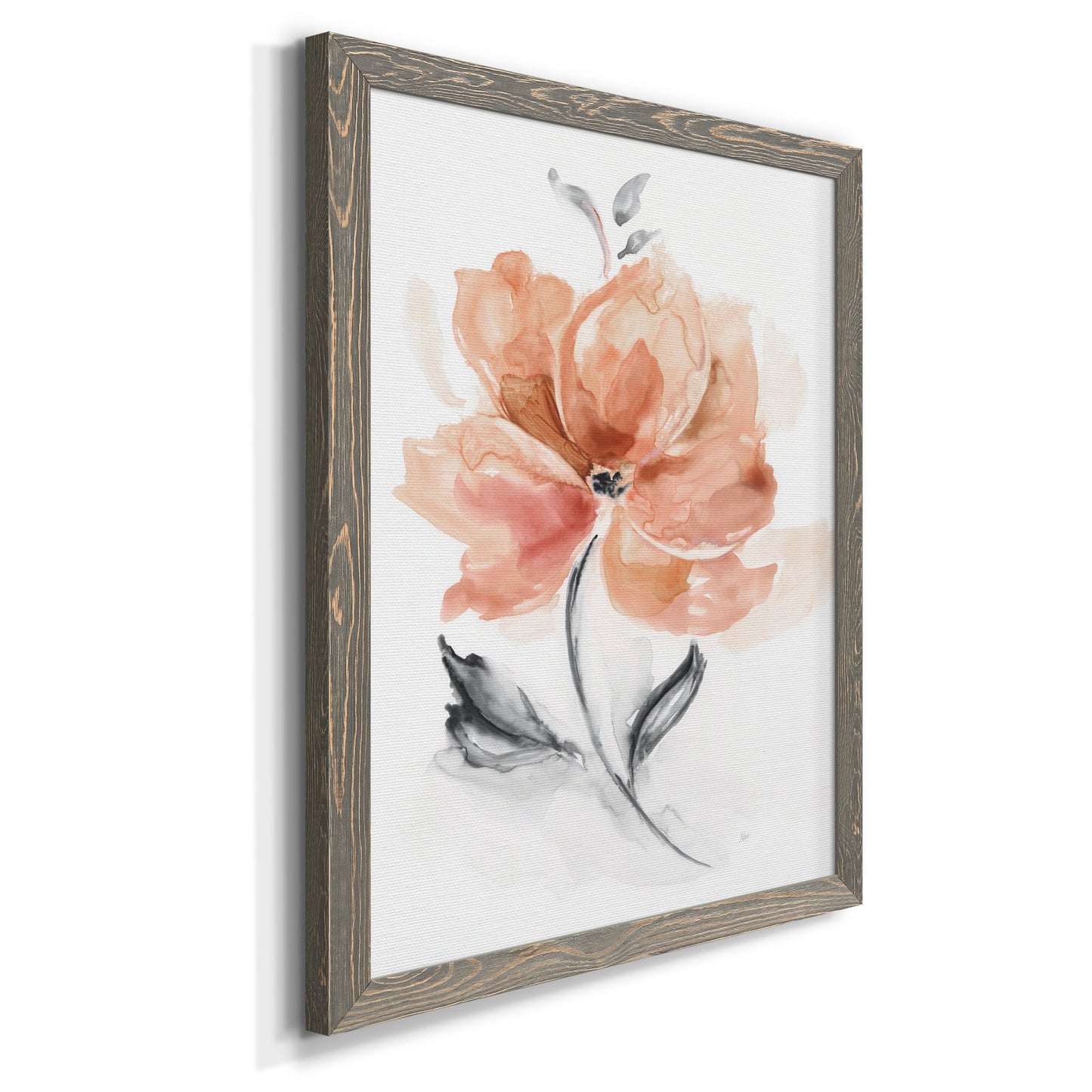 Soft Sensation I - Premium Canvas Framed in Barnwood - Ready to Hang