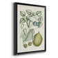 Buchoz Tropicals VIII - Modern Framed Canvas Print