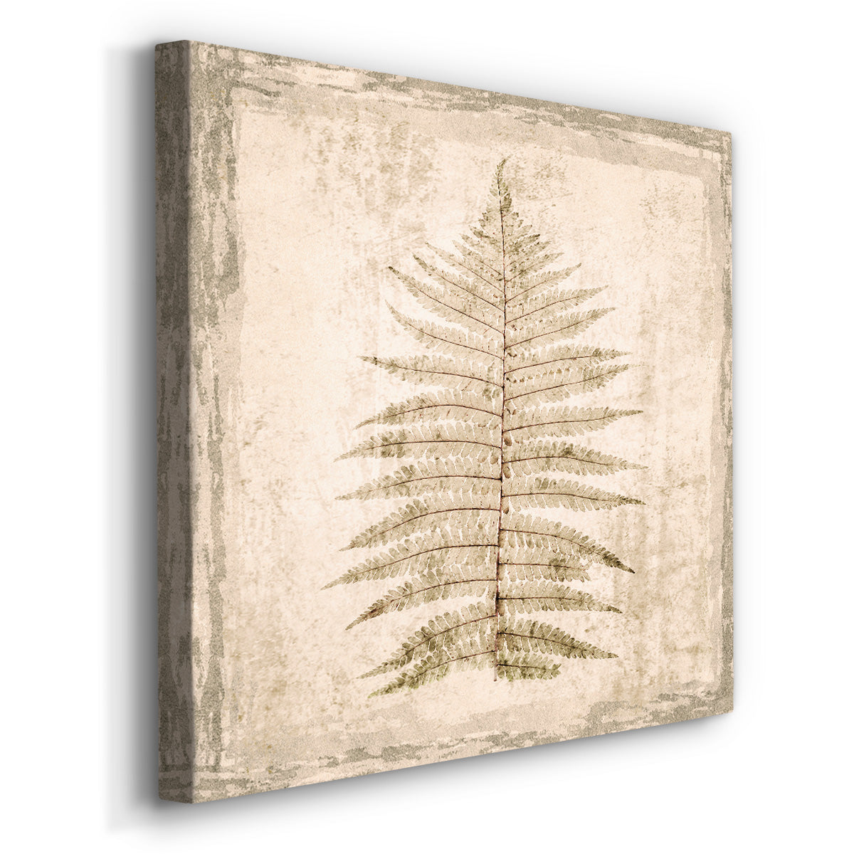 Stone Leaf I - Canvas Art Print