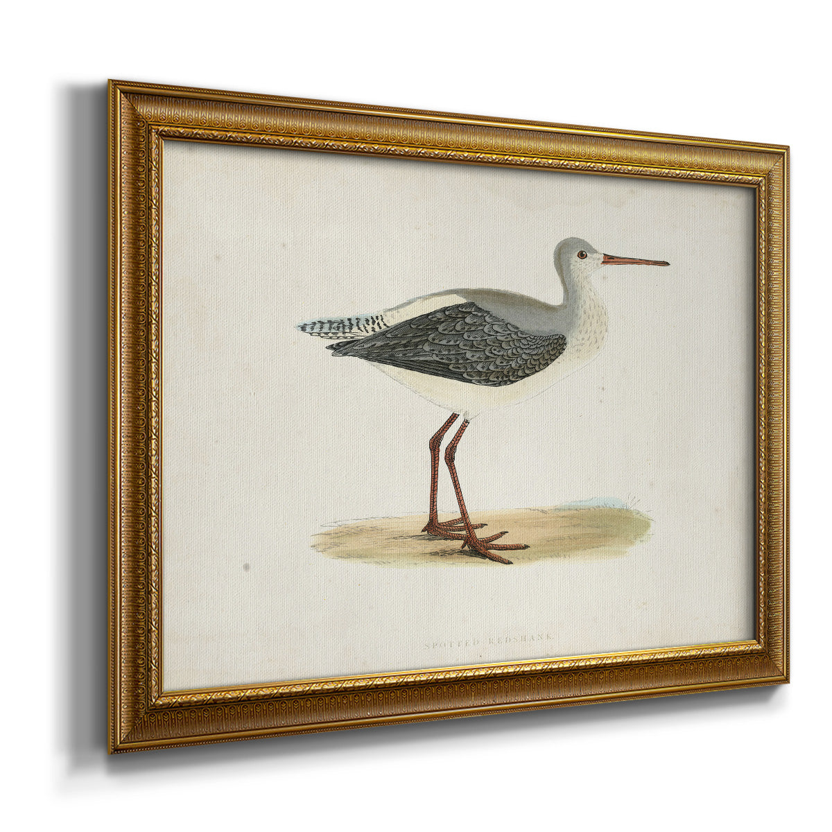 Morris Sandpipers I Premium Framed Canvas- Ready to Hang