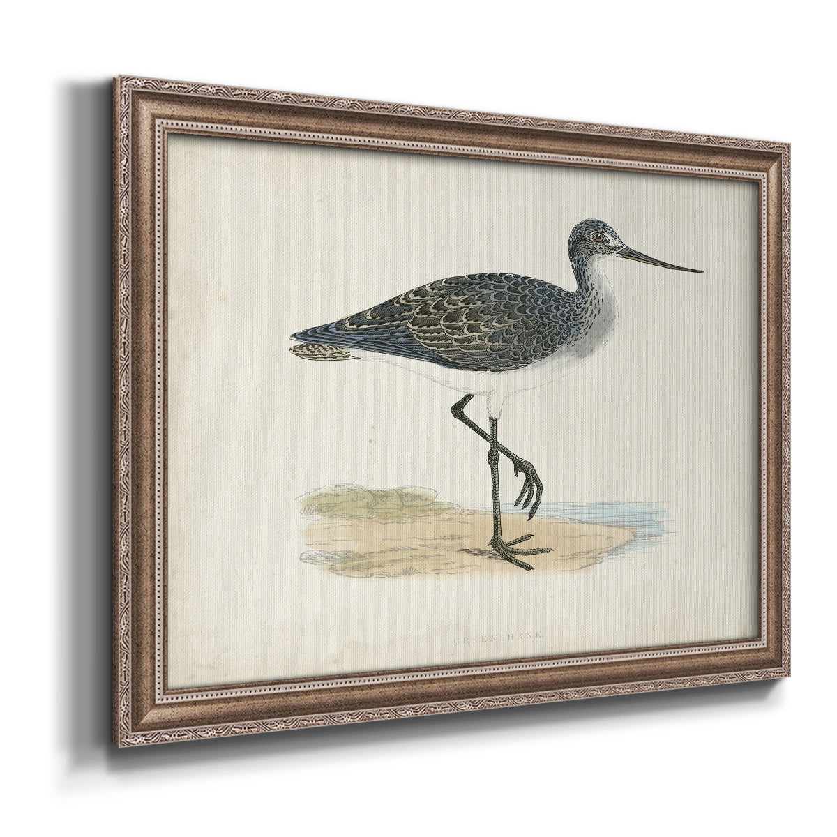 Morris Sandpipers III Premium Framed Canvas- Ready to Hang