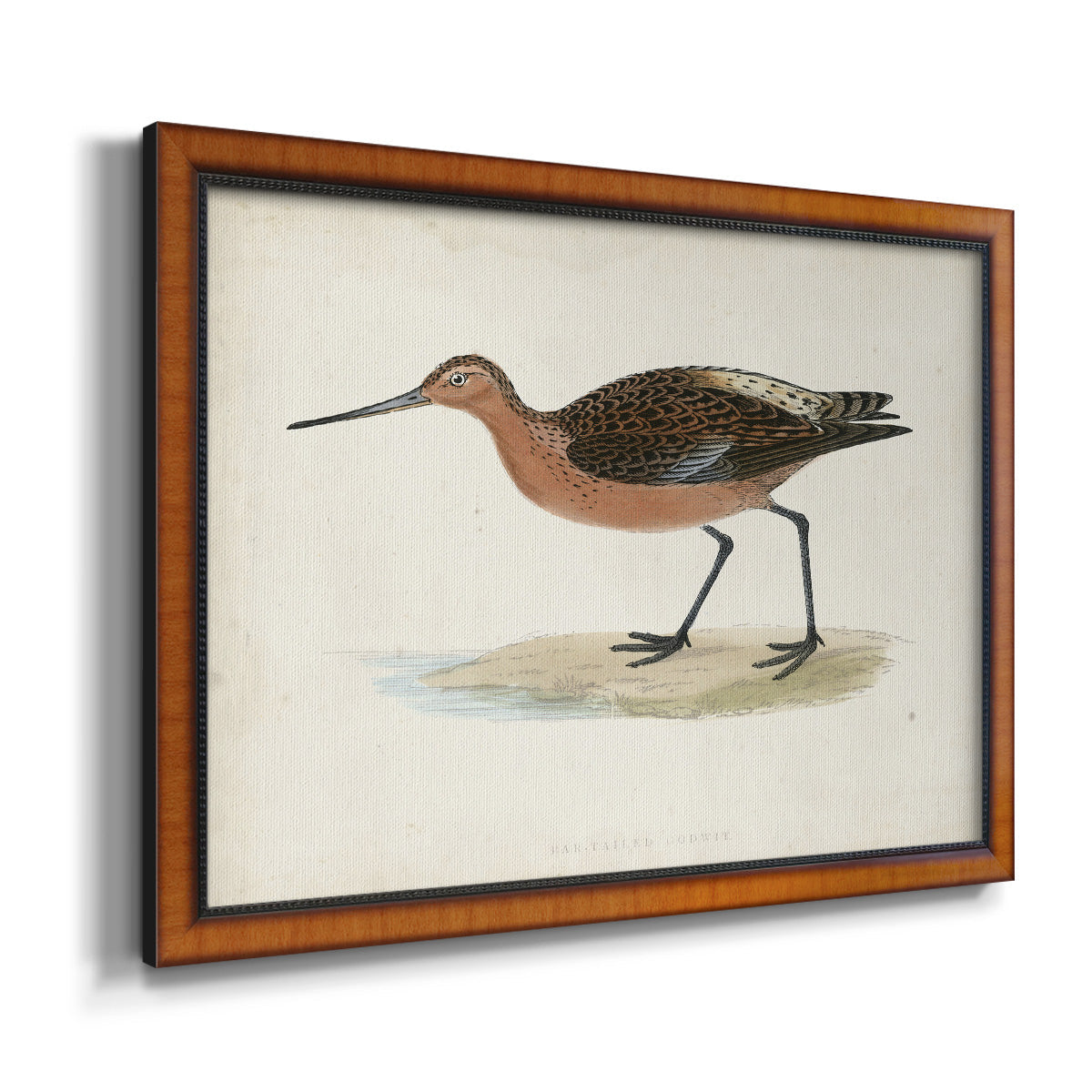 Morris Sandpipers II Premium Framed Canvas- Ready to Hang