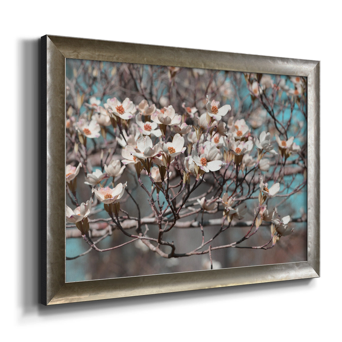 Dogwood Spring II Premium Framed Canvas- Ready to Hang