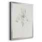 Neutral Iris Sketch I - Modern Framed Canvas Print