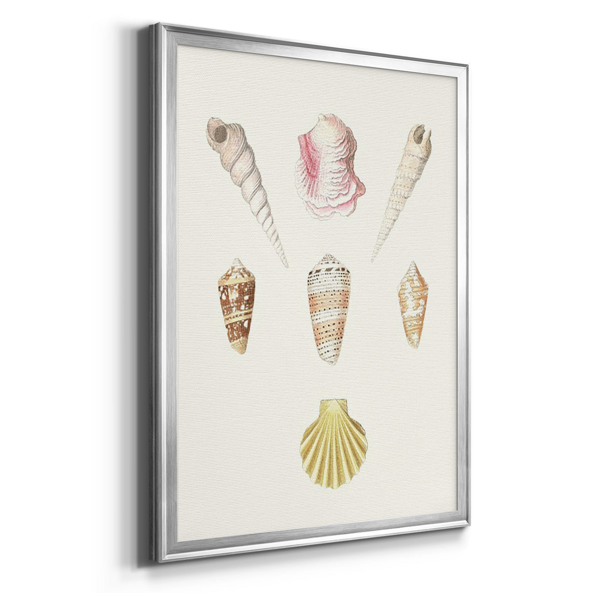Pastel Knorr Shells I - Modern Framed Canvas Print