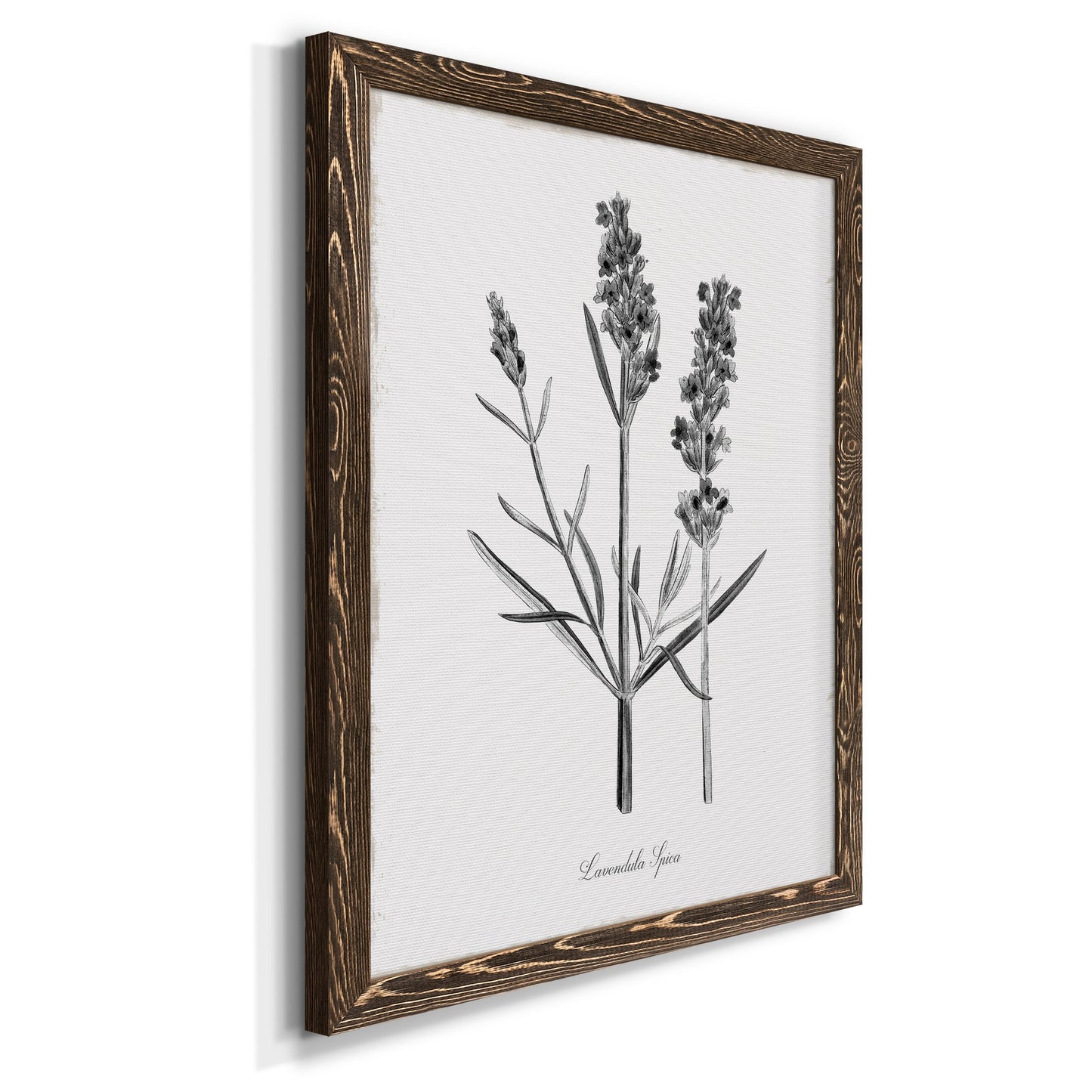 Simply Lavender - Premium Canvas Framed in Barnwood - Ready to Hang