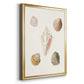 Pastel Knorr Shells IX - Modern Framed Canvas Print