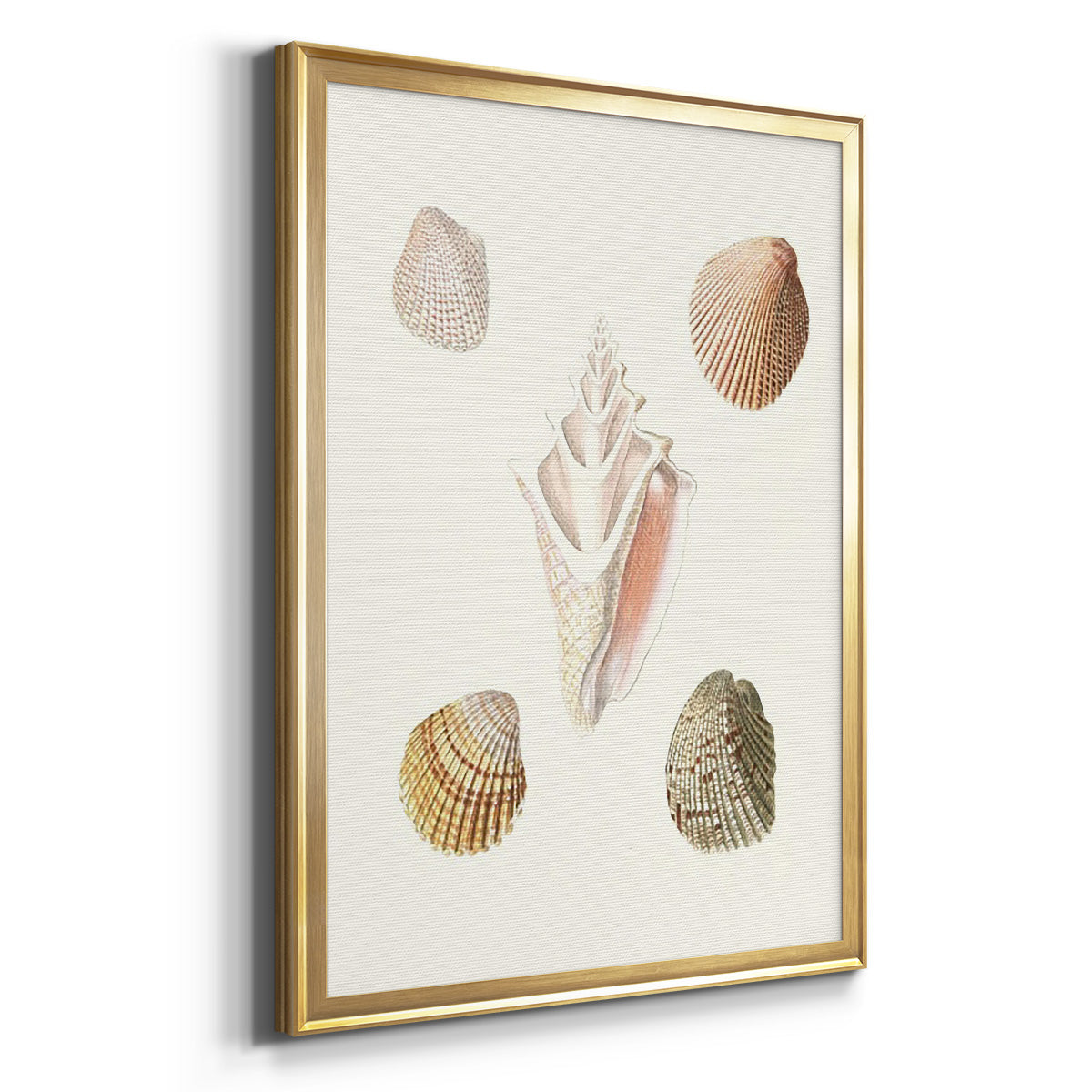 Pastel Knorr Shells IX - Modern Framed Canvas Print