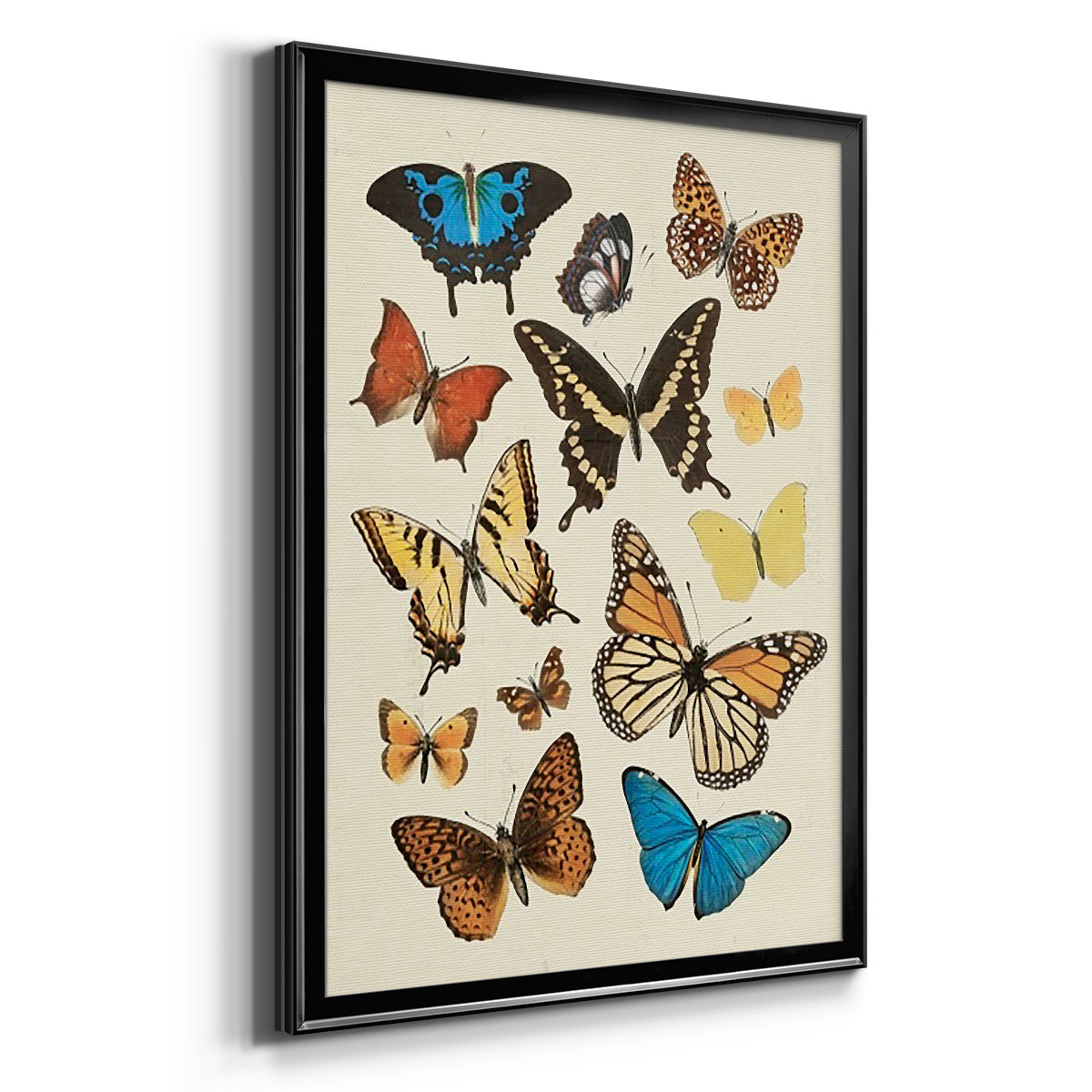 Collected Flutter II - Modern Framed Canvas Print