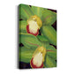 Lime Orchid I Premium Gallery Wrapped Canvas - Ready to Hang