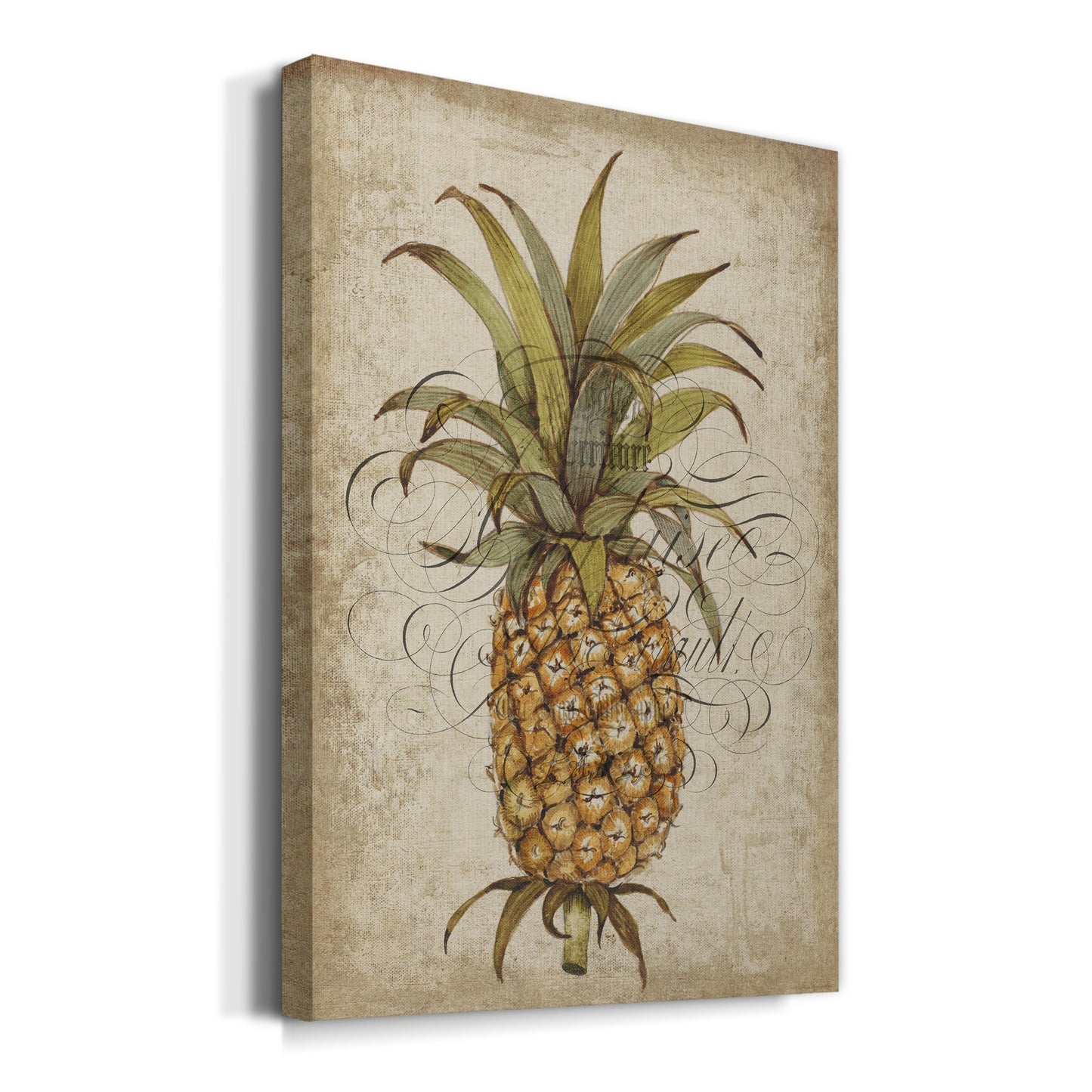 Pineapple Study II Premium Gallery Wrapped Canvas - Ready to Hang