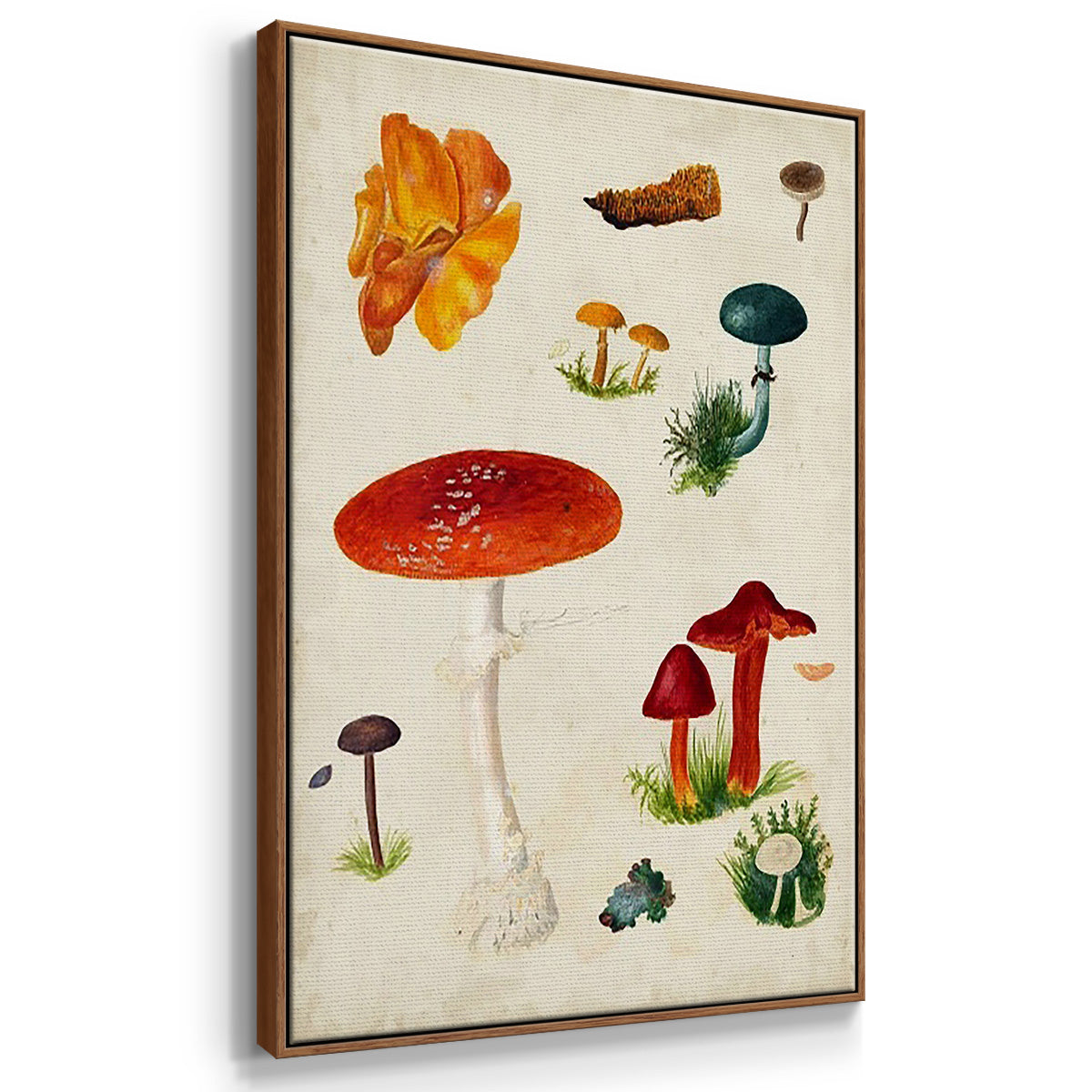 Mushroom Species VI - Framed Premium Gallery Wrapped Canvas L Frame 3 Piece Set - Ready to Hang