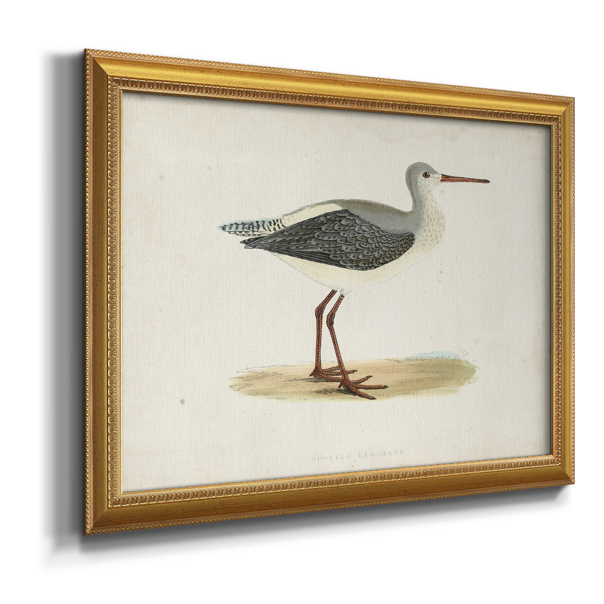 Morris Sandpipers I Premium Framed Canvas- Ready to Hang