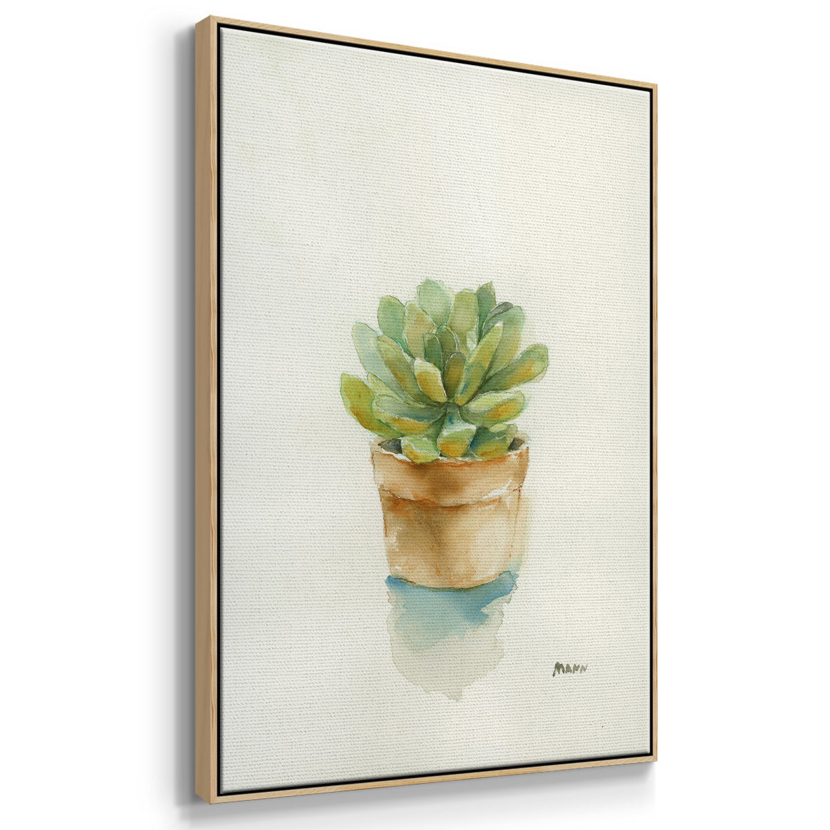 Succulent II - Framed Premium Gallery Wrapped Canvas L Frame - Ready to Hang