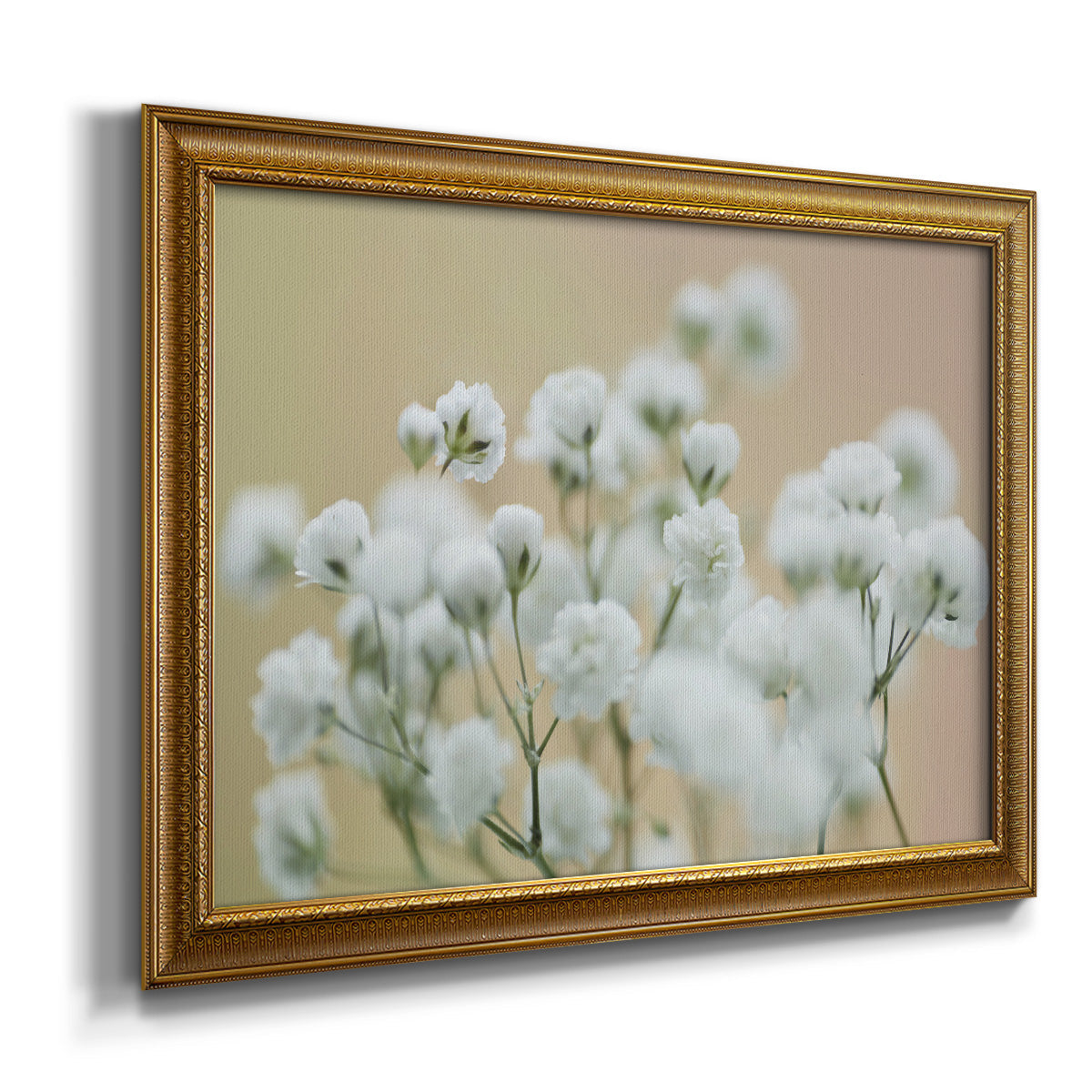 Baby's Breath Study II Premium Framed Canvas- Ready to Hang