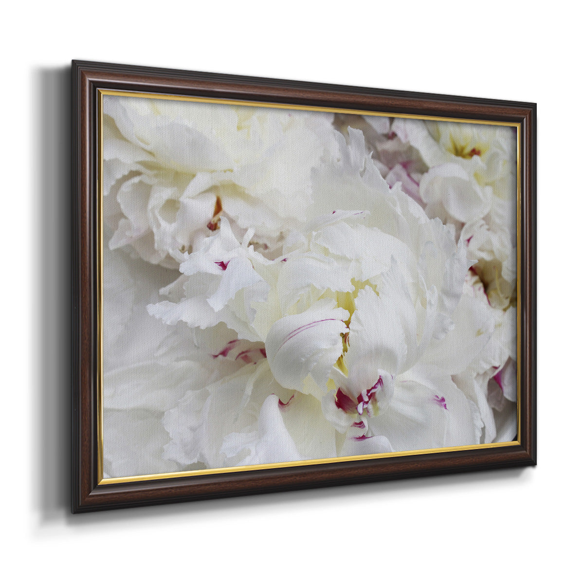 Breathless VI - Ornate Framed Canvas Print