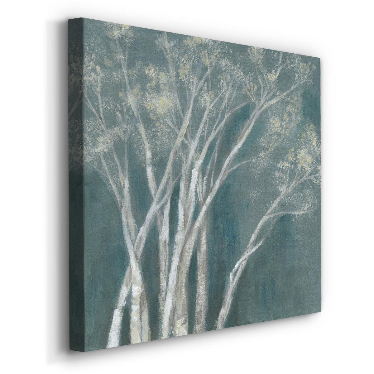 Ethereal Birches II - Canvas Art Print