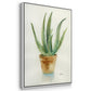 Succulent IV - Framed Premium Gallery Wrapped Canvas L Frame - Ready to Hang