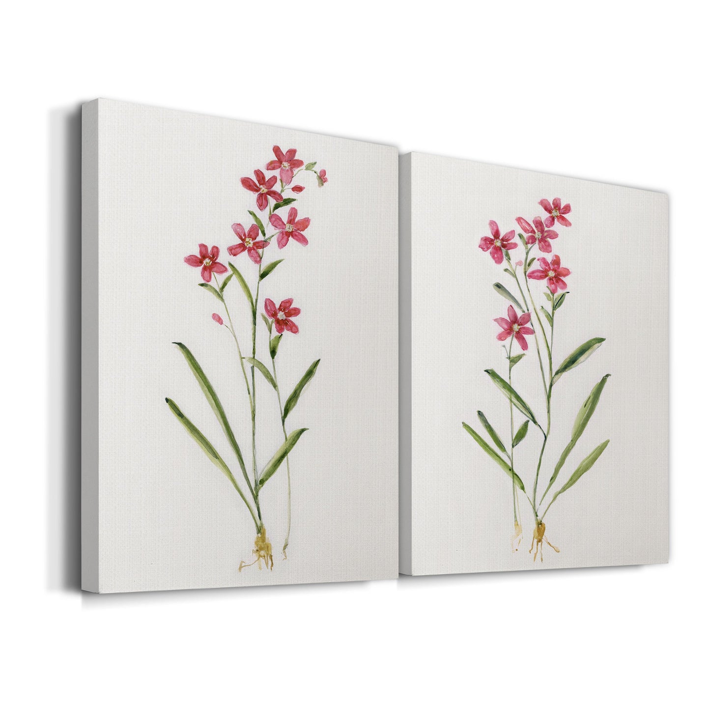 Delicate Pink I Premium Gallery Wrapped Canvas - Ready to Hang - Set of 2 - 8 x 12 Each