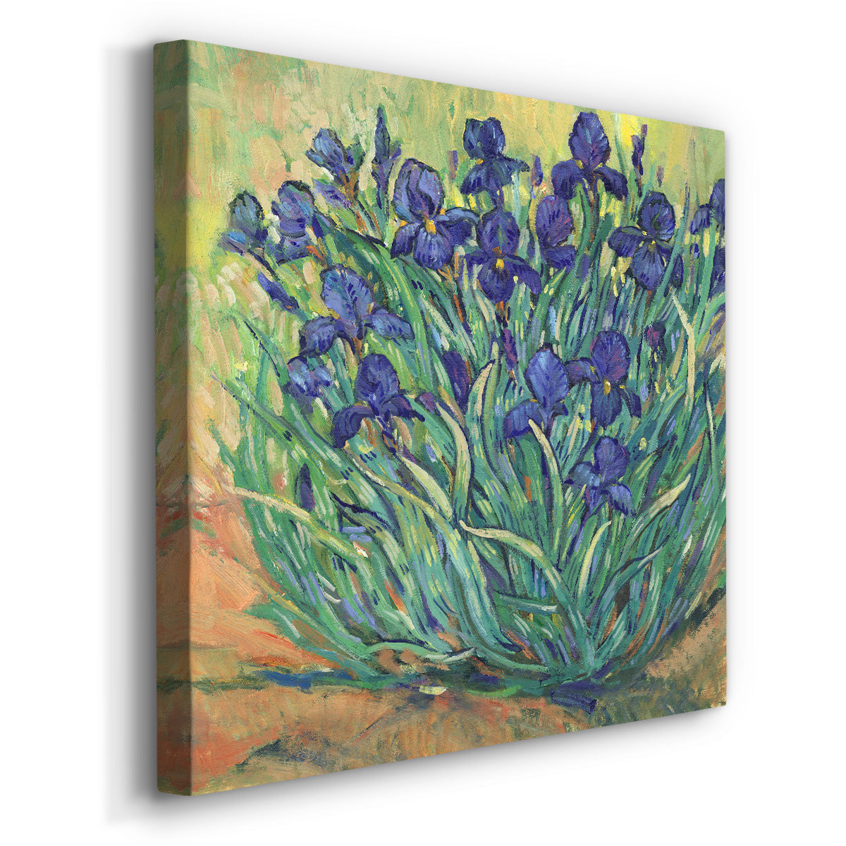 Irises in Bloom I - Canvas Art Print