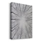 Deciduous Canopy II - Canvas Art Print