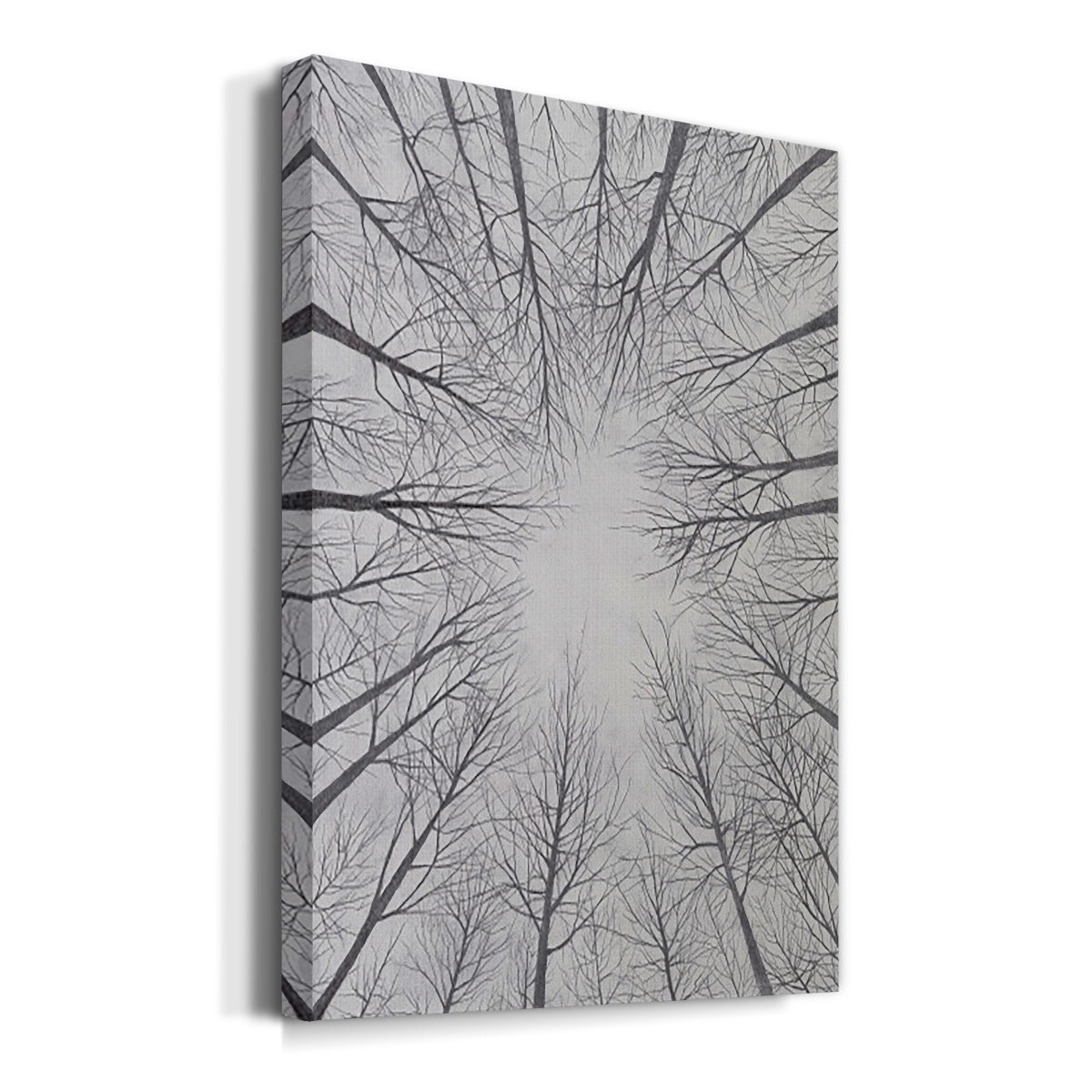 Deciduous Canopy II - Canvas Art Print