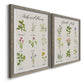 Herbs and Flowers - Premium Framed Canvas 2 Piece Set - Ready to Hang