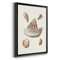 Pastel Knorr Shells VII - Modern Framed Canvas Print