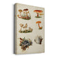 Mushroom Species X - Canvas Art Print