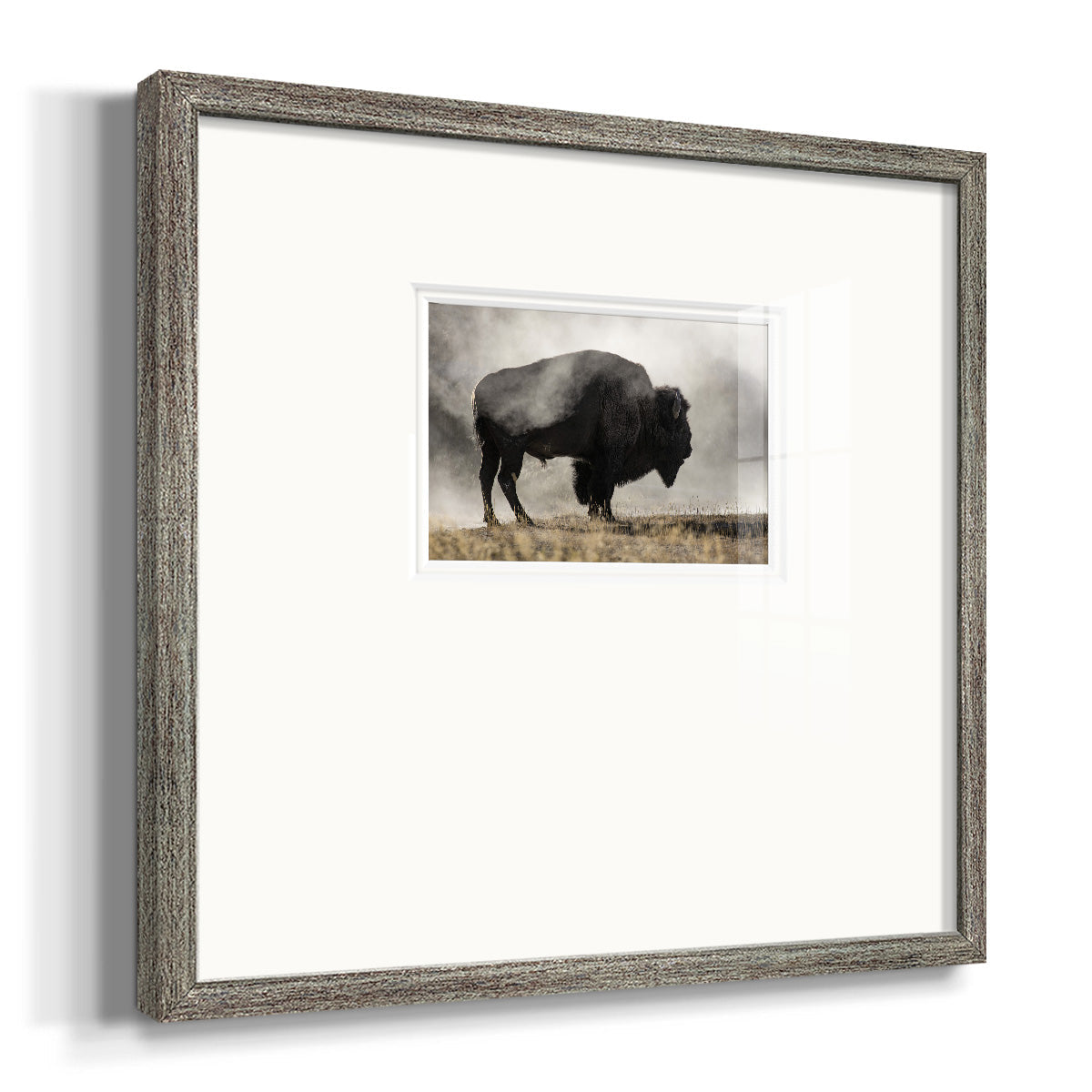 Geyser Basin Premium Framed Print Double Matboard