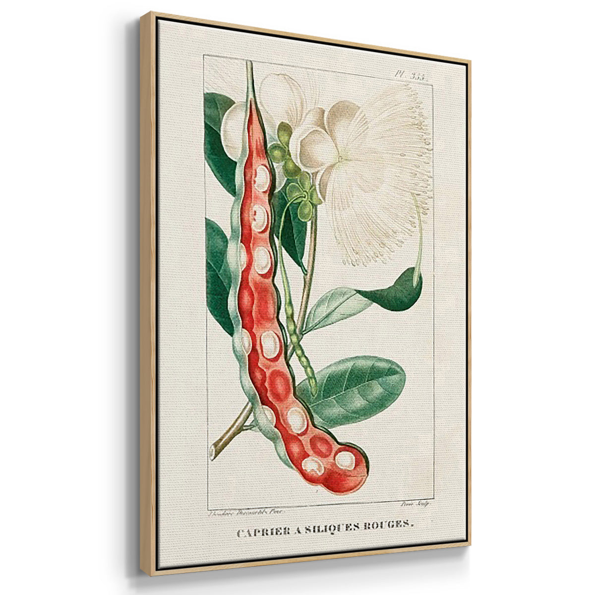 Turpin Tropical Botanicals VI - Framed Premium Gallery Wrapped Canvas L Frame 3 Piece Set - Ready to Hang