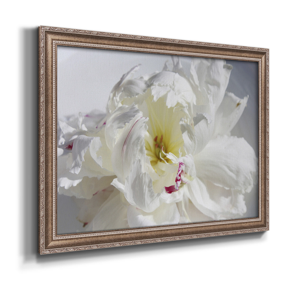 Breathless IV - Ornate Framed Canvas Print