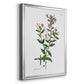 Rose Botanical III - Modern Framed Canvas Print