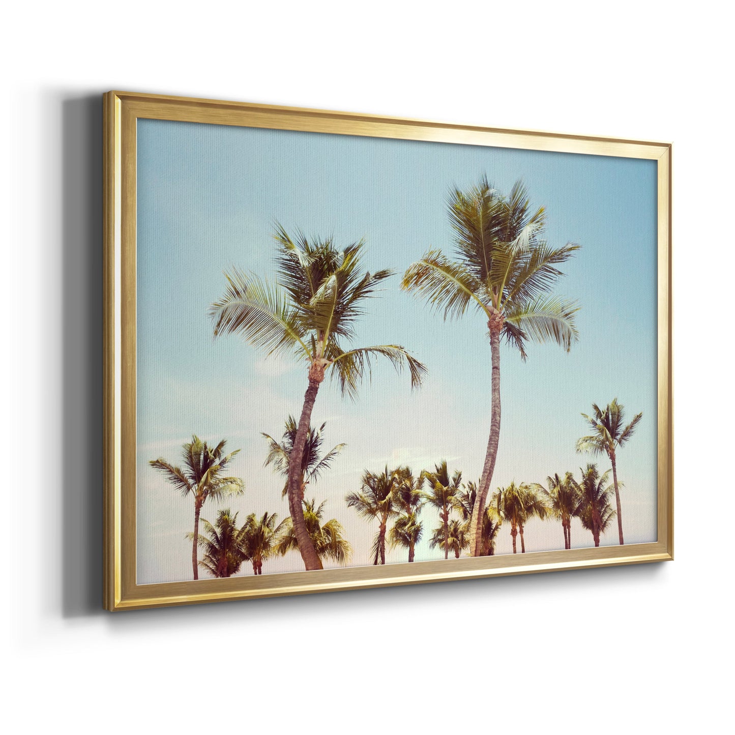 Aruba Palm - Modern Framed Canvas Print