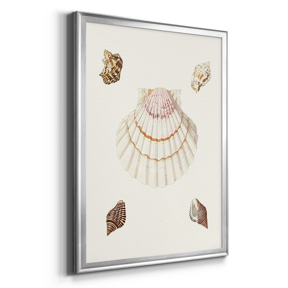 Pastel Knorr Shells IV - Modern Framed Canvas Print