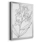 Botanical Sketch I - Modern Framed Canvas Print