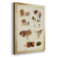 Mushroom Species III - Modern Framed Canvas Print