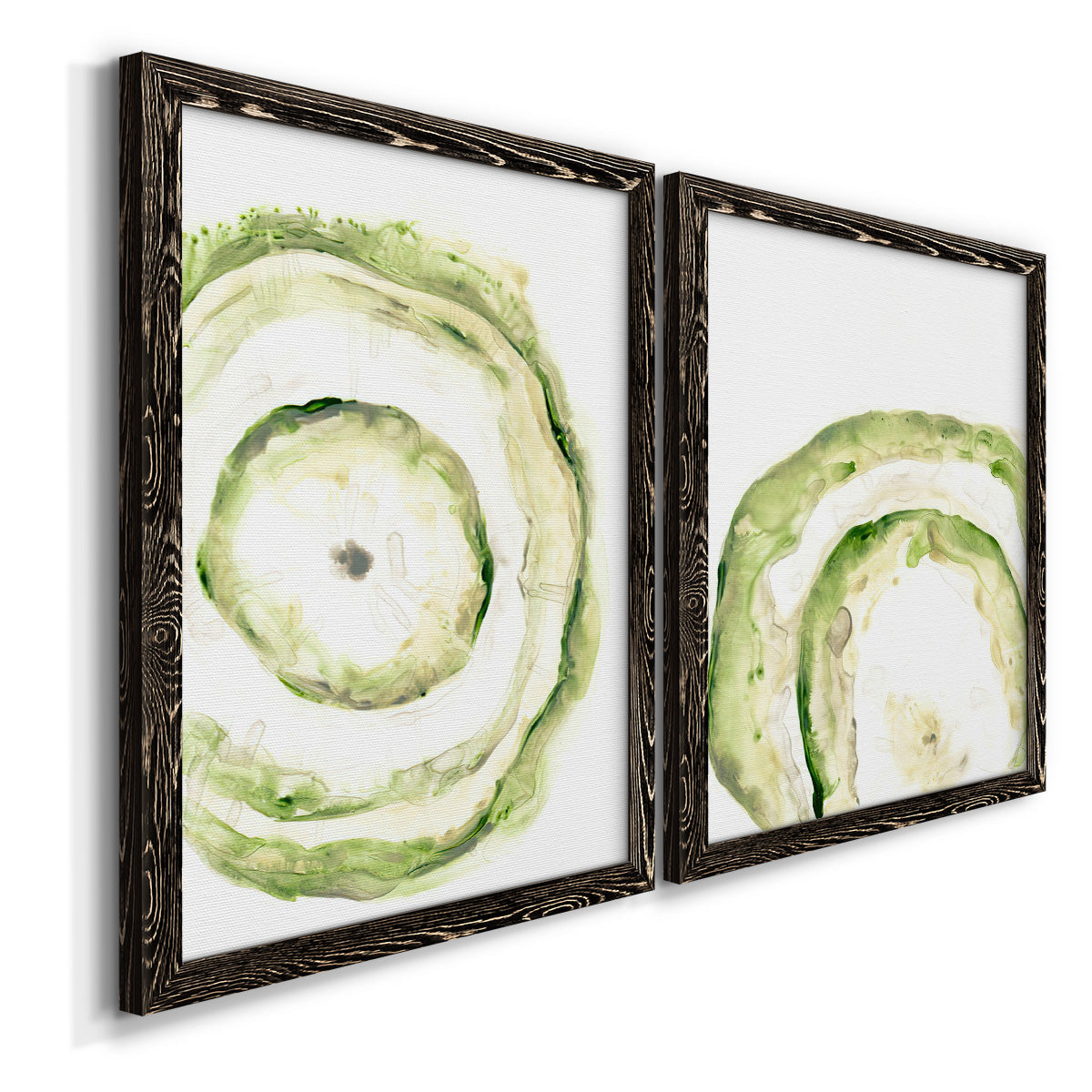 Lichen Halo III - Premium Framed Canvas 2 Piece Set - Ready to Hang