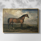 Eagle, A Celebrated Stallion, 1809 - Floater Framed Canvas Print