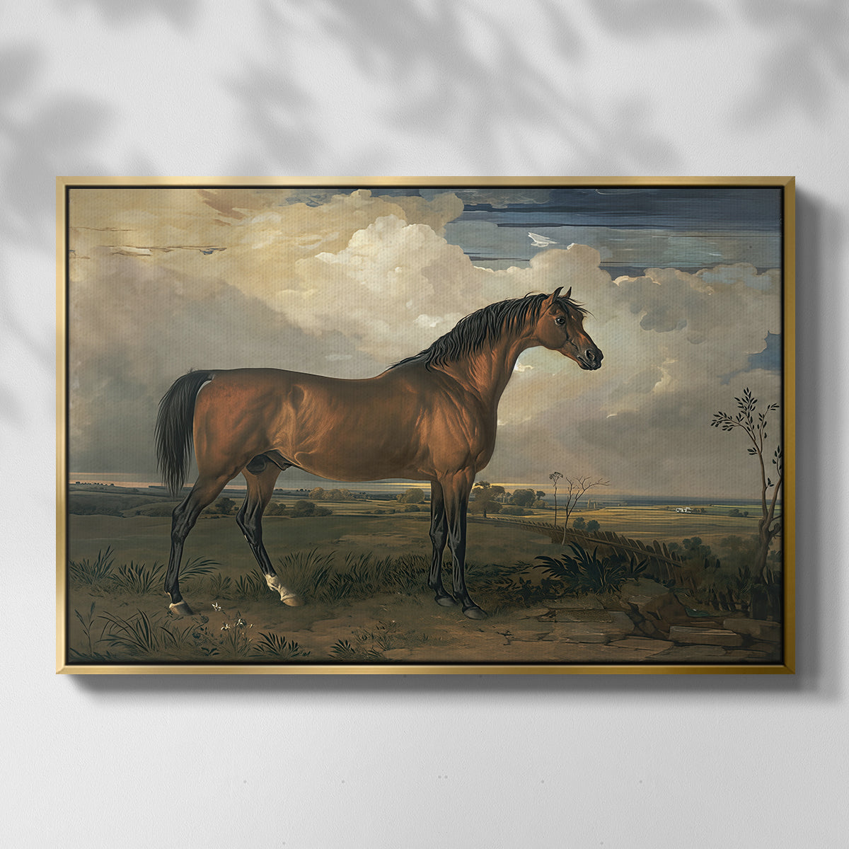 Eagle, A Celebrated Stallion, 1809 - Floater Framed Canvas Print