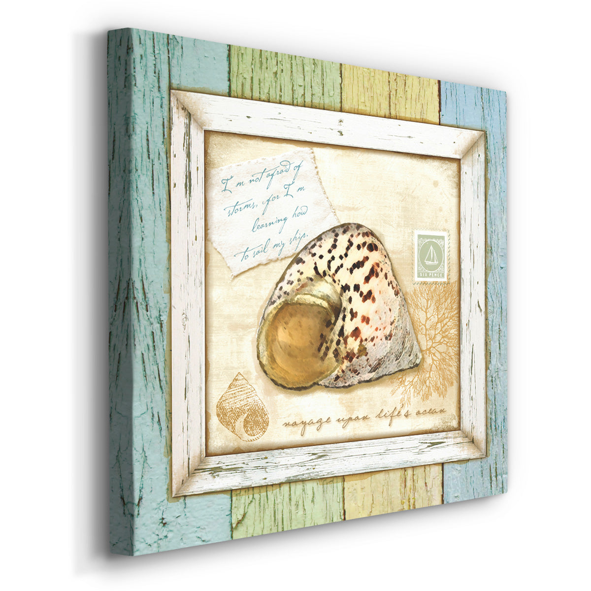 Sea Treasures II-Premium Gallery Wrapped Canvas - Ready to Hang