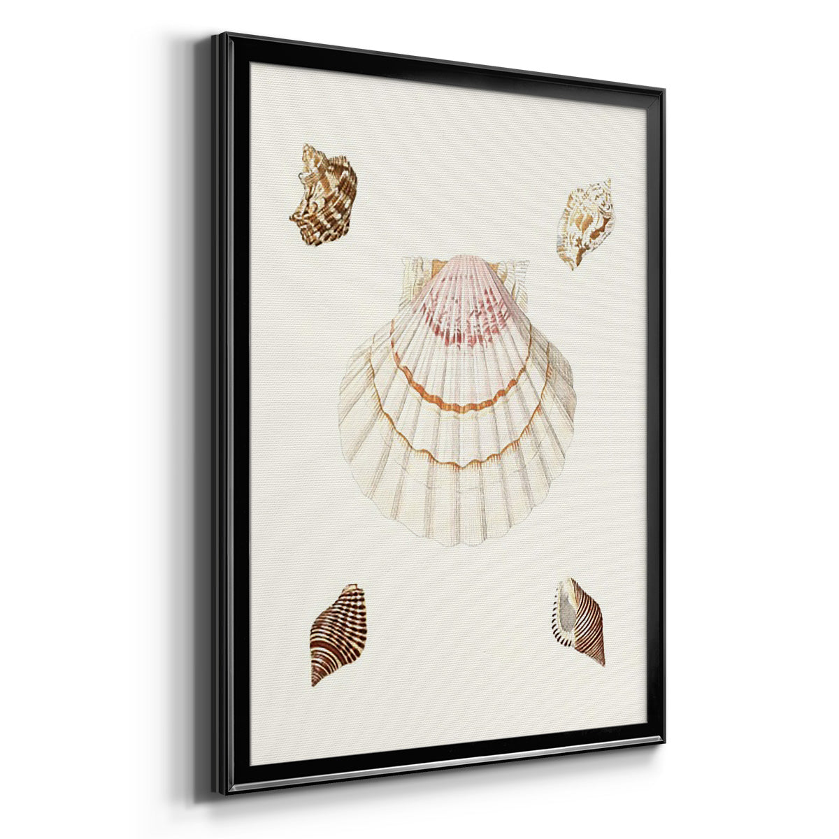 Pastel Knorr Shells IV - Modern Framed Canvas Print