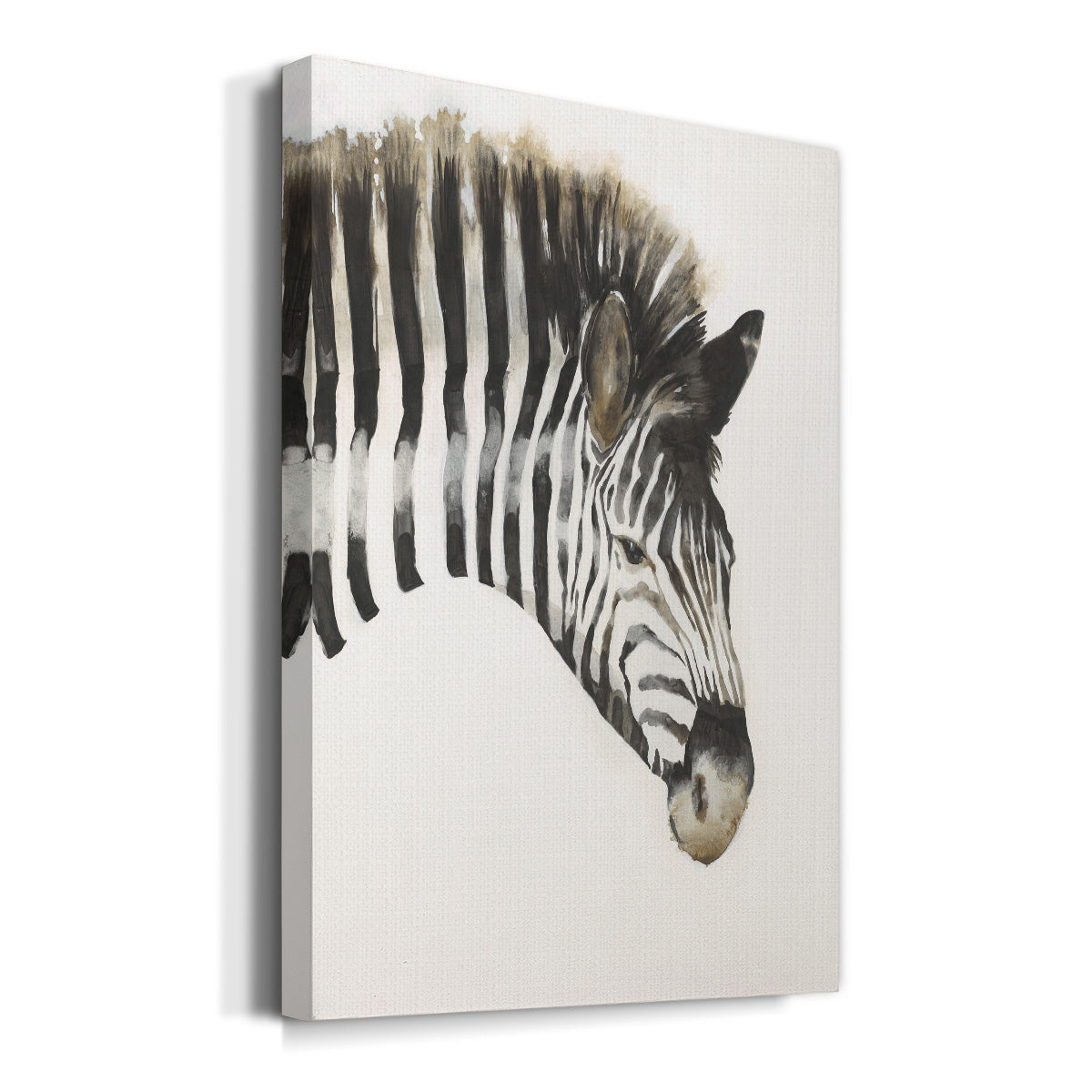 Zebra Stripes - Canvas Art Print