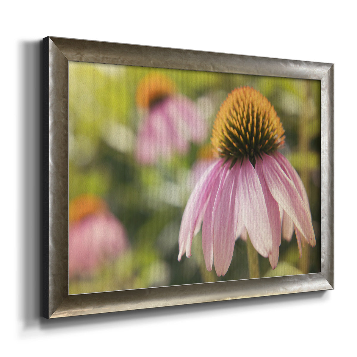 Echinacea Study I Premium Framed Canvas- Ready to Hang