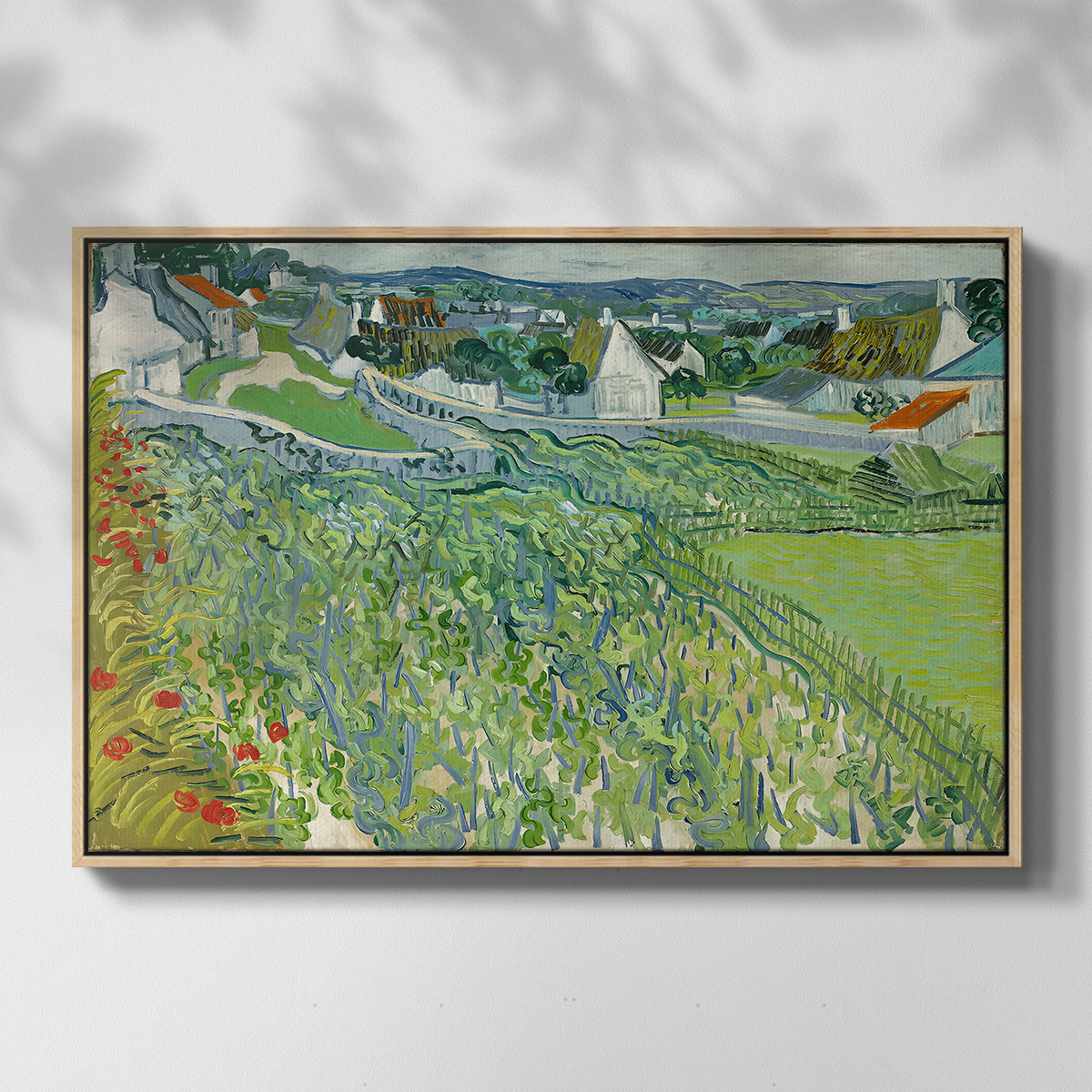 Vineyards at Auvers, 1890 - Floater Framed Canvas Print