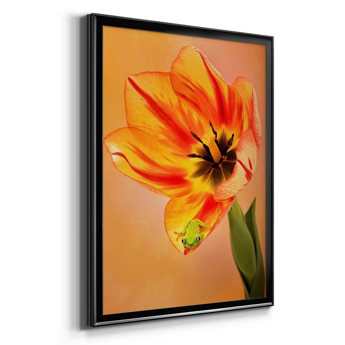 Hanging On VI - Modern Framed Canvas Print
