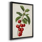 Antique Fruit II - Modern Framed Canvas Print