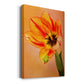 Hanging On VI - Canvas Art Print