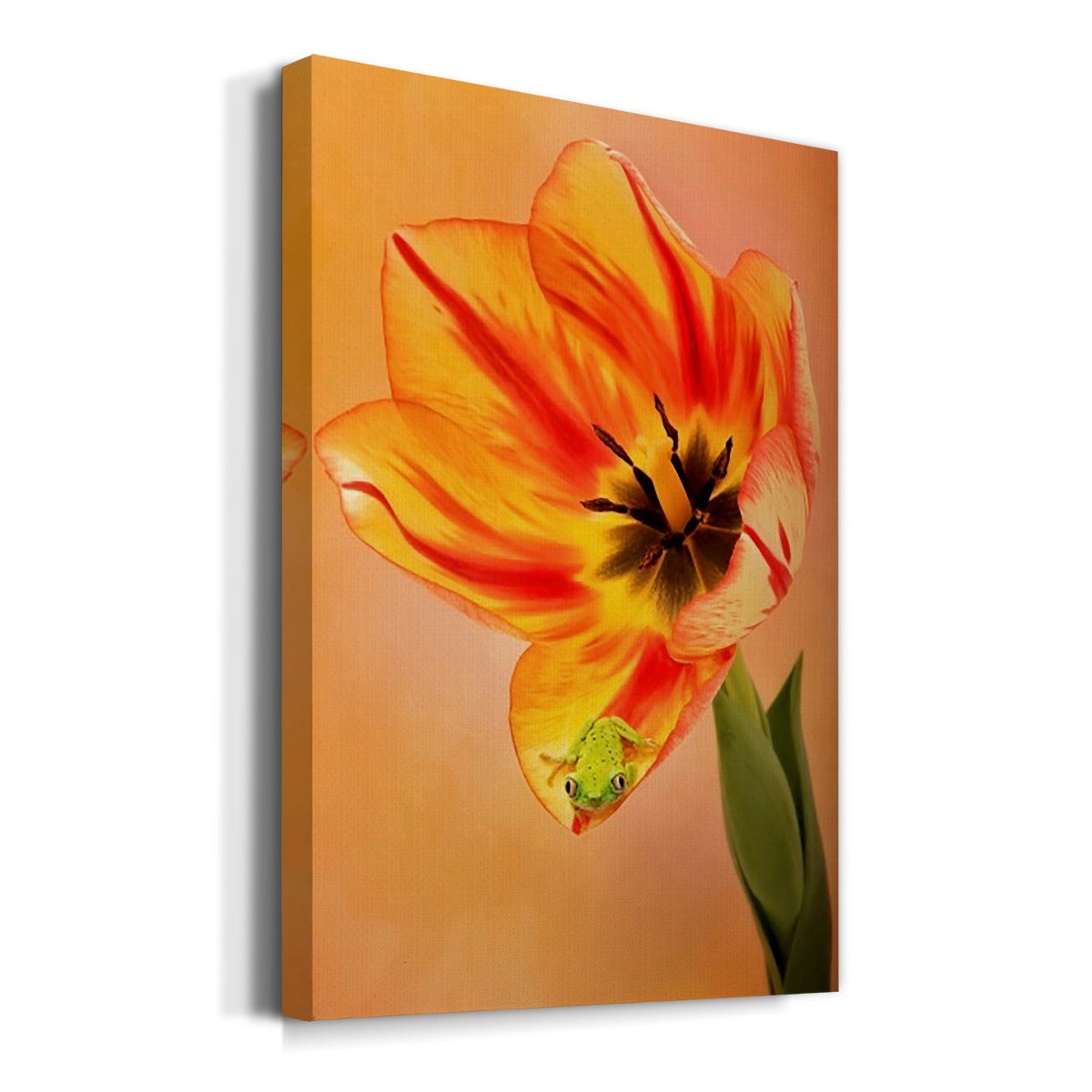 Hanging On VI - Canvas Art Print