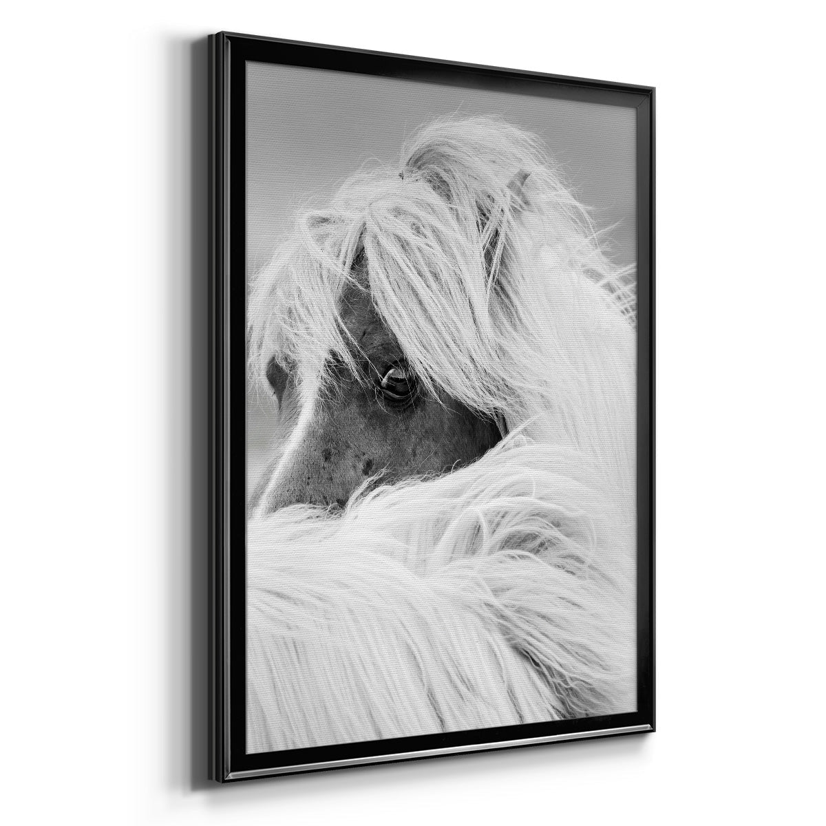 Island Pony II - Modern Framed Canvas Print